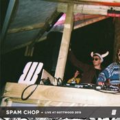 Spam Chop - Live at Gottwood 2015