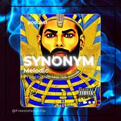 SYNONYM Melodic Progressive House