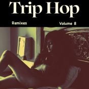 Trip Hop Remixes 8