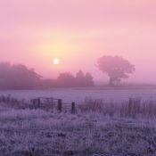 Subconscious Tales Of March 2016