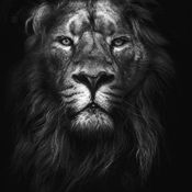 Afro House Mix