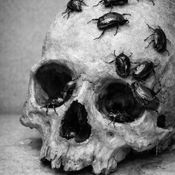 Digital Macabre Vol#51: Goth Industrial| March 2026