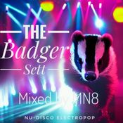 The Badger Sett - Nu Disco Set