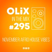295 - November Afro House Vibes