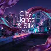 City Lights & Silk Vol 2