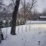 Winter Ops 2010
