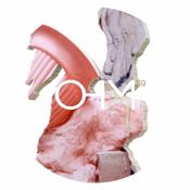 OHM 59 (22-03-16)