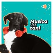 Musica... da cani #16 – 5 luglio 2021