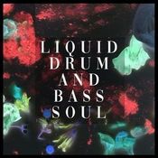 Liquid Drum And Bass Soul 21