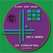 025 PDH - A Dose of Soul: Deep and Techno