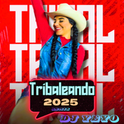 TRIBALEANDO 2025, REMIX , DJ YEYO
