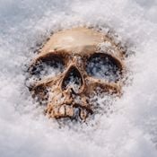 Digital Macabre: Special Edition Vol#5|EBM