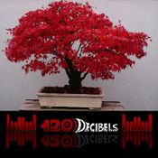 120 dB Novembre 2016
