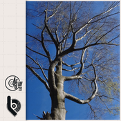 BINNE mix for 45 Day 2026