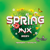 SPRING MIX 2024 Reggaeton / Guaracha @djcess