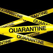 DJ Bumpy Fingers Quarantined: Rhythm & Bass