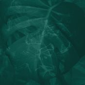 Chptr8/the green album