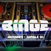 BiNgE - JUNGLE 01  - JANUARY 2025
