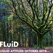 LIQUID ATTITUDE OCTOBER 2018 By FLuiD