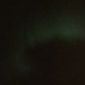cosmos