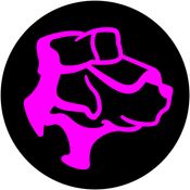 Funkdog Records 2022 - Studio Album - Mixed