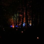 Saymoon - In The Middle Of Forest Night (Ambientarium Mix 07-09-2013)