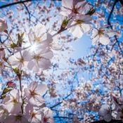K-KLASS - SPRING HOPE DJ MIX 2021