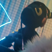 Valant at Megaplex 2022