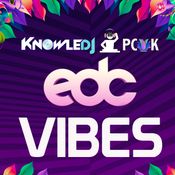 EDC Vibes 2021