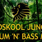 Oldskool Jungle Drum n Bass Mix 92-97