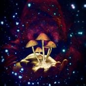 The great desert dweller mystery remixes mixed by Philocybin