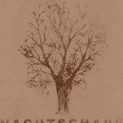40 WINKS - NACHTSCHADE 17/03/2013