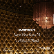 Live DJ Set @ Fleur Room LA Nov 12th 2022 PT 2