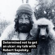 Determined not to get an un ulcer. Talk with Robert Sapolsky, G.S.M. ep 10.