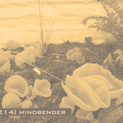 [nws.bpm0214] mindbender