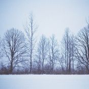 midwinter 2021 loveletter
