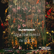 Live at Fleur Room LA Dec 1st 2022