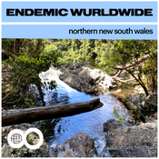 Endemic Wurldwide - Northern NSW - December 2021