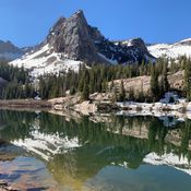 Reflect