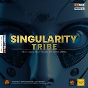 Housefied - Singularity Tribe [RANE VINYL]