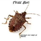 Tree Bug compiled with love by Pierre