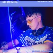 12/02/2026 - INSECTCRUSHA