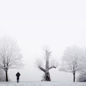 Winter Warmdown Mix