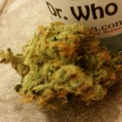 Blue Dream pt.1