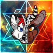 momentum [razr B2B skroy]