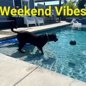 Weekend Party Mix 7.28.2023