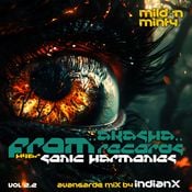 Hyper Sonic Harmonies (From ..Akasha.. Records) 2.2- indianX - Mild 'N Minty