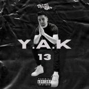 @D_Li /// Y.A.K 013