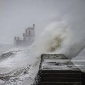 Too Many Two's (storm BaBet)