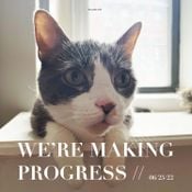 We're Making Progress // 06/25/22